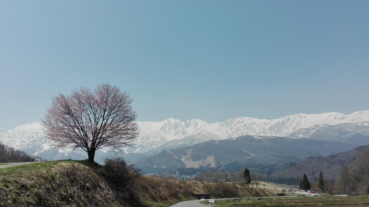 Pension Blue Hakuba Ngoại thất bức ảnh